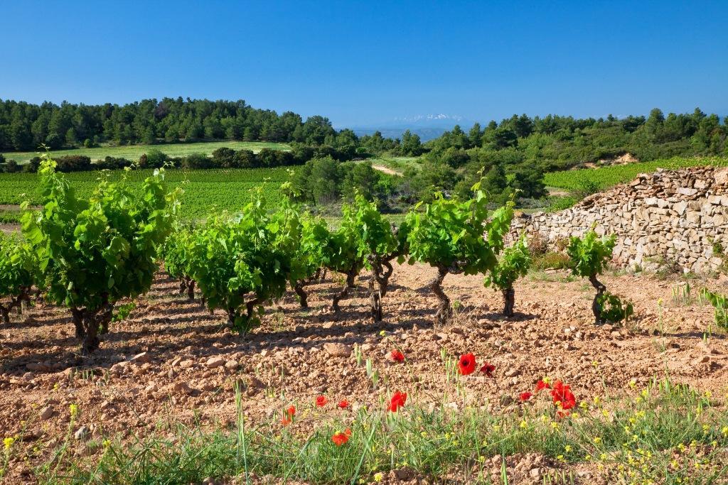 Logis Hotel - Restaurant La Marbrerie Caunes-Minervois Luaran gambar
