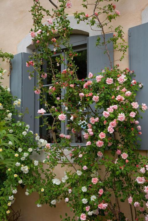 Logis Hotel - Restaurant La Marbrerie Caunes-Minervois Bilik gambar